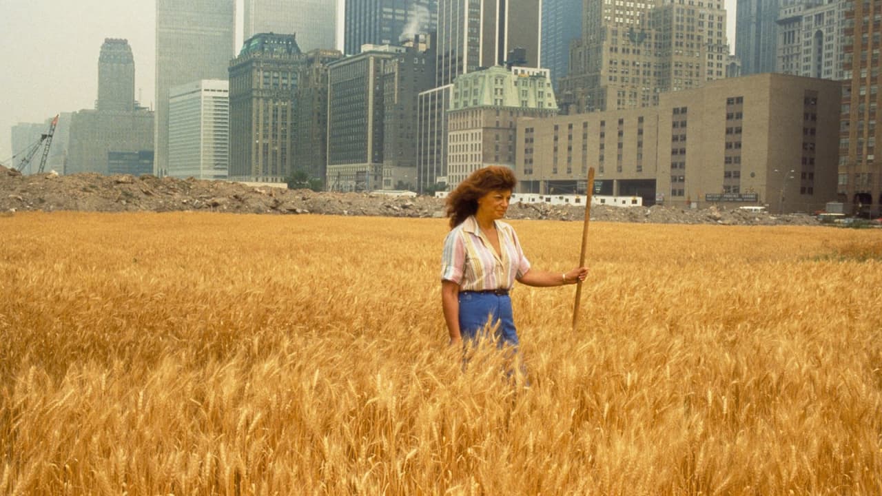 فنانة رائدة تزرع حقول القمح في أمريكا.. ما هي رسالتها؟