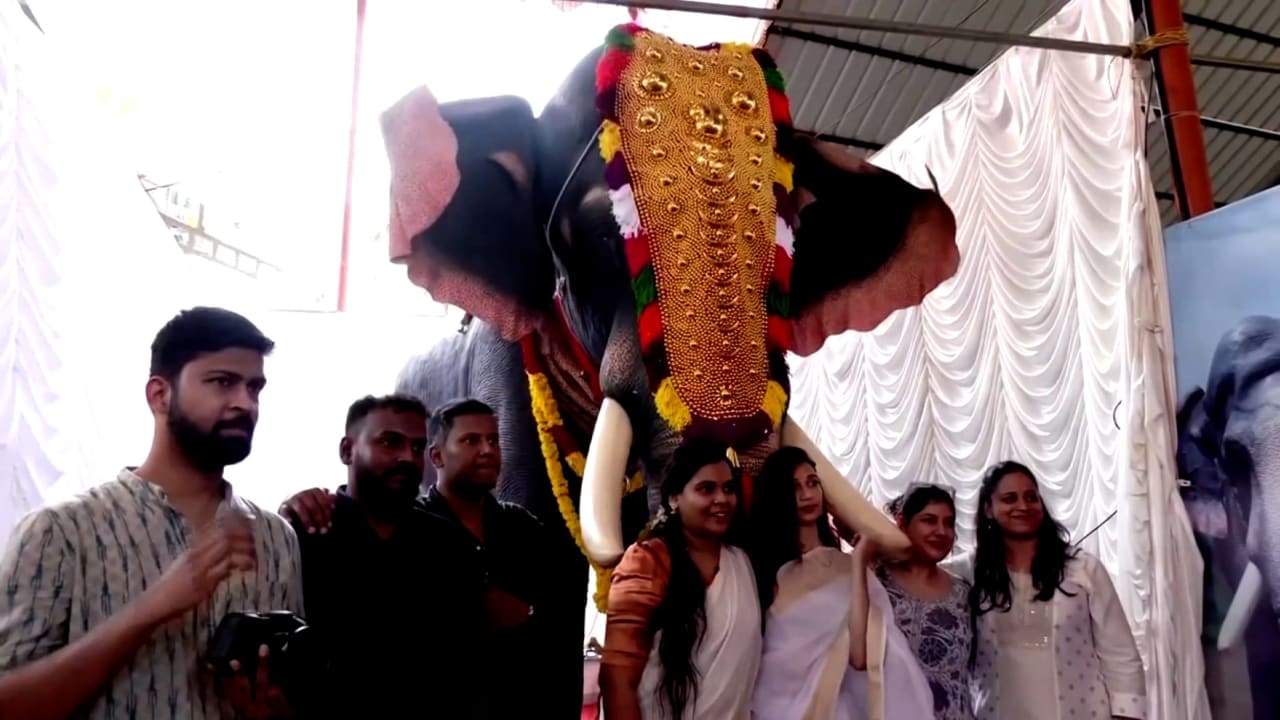 لممارسة طقوس دينية.. شاهد فيلًا آليًا داخل معبد في الهند