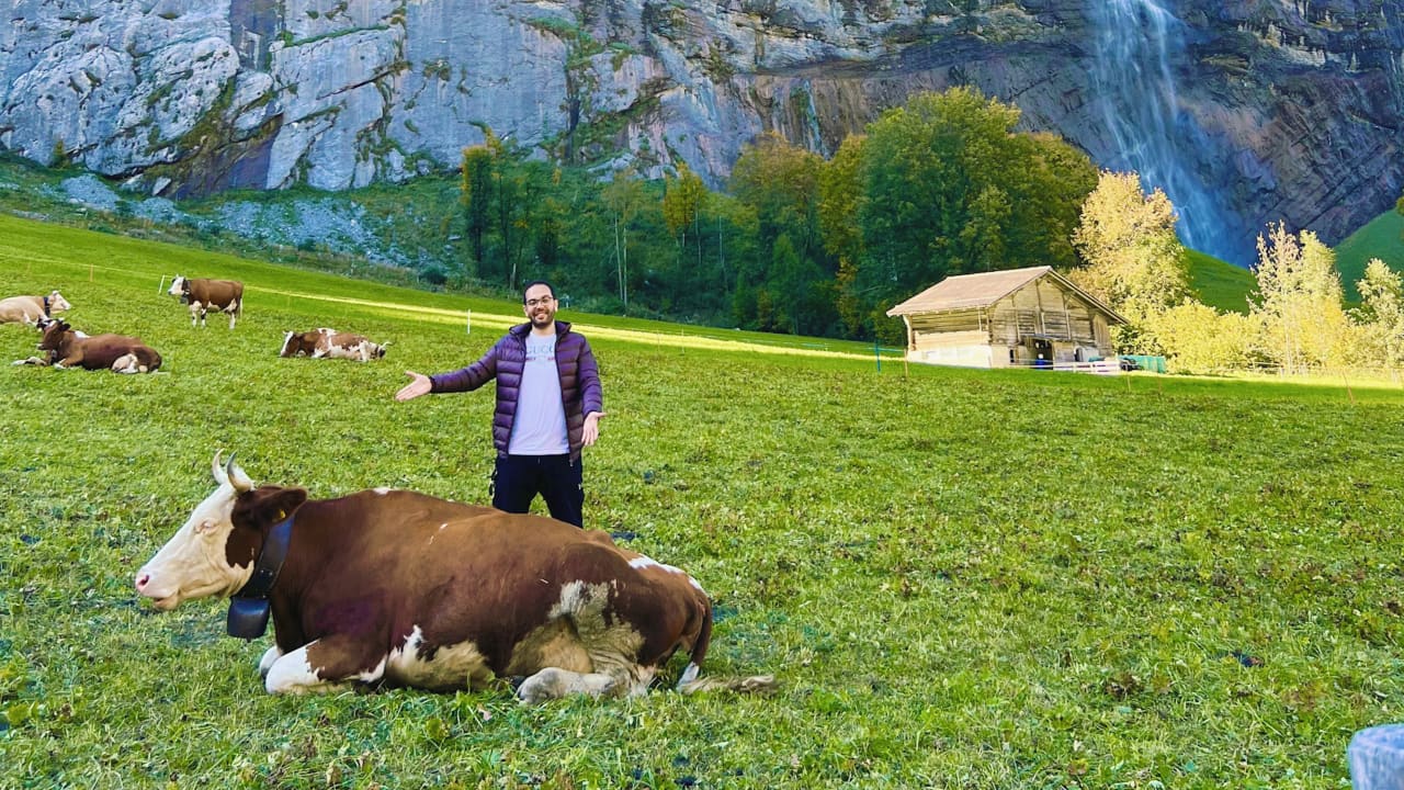 مصري يكشف عن أغرب حقوق الأبقار في سويسرا.. ما أبرزها؟