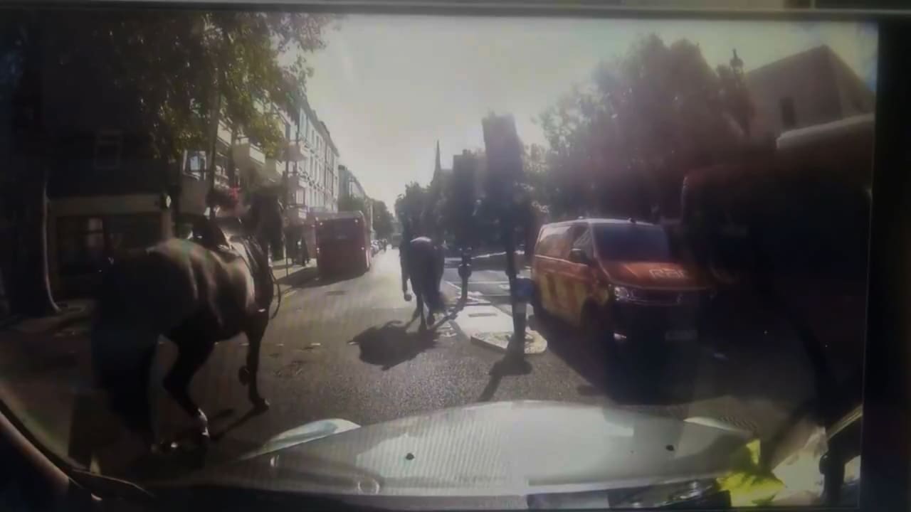 مجددًا.. خيول عسكرية تعدو طليقة بشوارع لندن بعد فزع أحدها وفرارها من تدريبات للجيش البريطاني